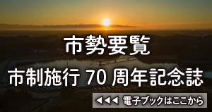 市勢要覧